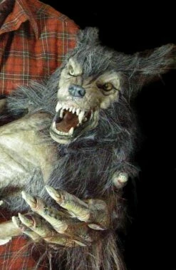 "Baby Werewolf Puppet" HD Studios Halloween Prop -DarkMorph Store baby werewolf puppet hd studios halloween prop 14159829270576