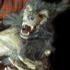 "Baby Werewolf Puppet" HD Studios Halloween Prop -DarkMorph Store baby werewolf puppet hd studios halloween prop 14159860629552