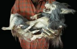 "Baby Werewolf Puppet" HD Studios Halloween Prop -DarkMorph Store baby werewolf puppet hd studios halloween prop 8671037569