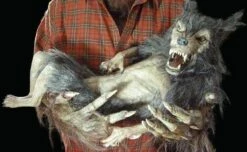 "Baby Werewolf Puppet" HD Studios Halloween Prop -DarkMorph Store baby werewolf puppet hd studios halloween prop 8671039169