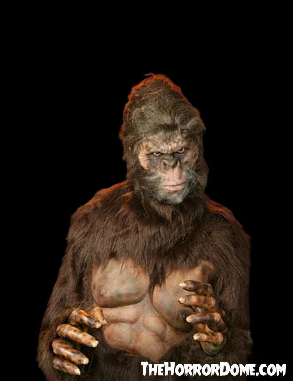 "Bigfoot" HD Studios Pro Costume 4 "Bigfoot" HD Studios Pro Costume - Image 2