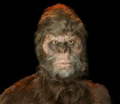 "Bigfoot" HD Studios Pro Costume 10 "Bigfoot" HD Studios Pro Costume -DarkMorph Store bigfoot hd studios pro halloween costume 28754735956016