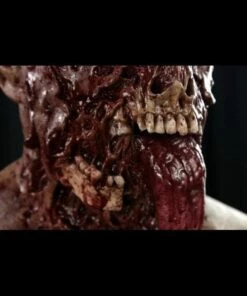"Buckshot The Zombie" Silicone Mask -DarkMorph Store buckshot the zombie silicone halloween mask 8671349185