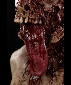 "Buckshot The Zombie" Silicone Mask -DarkMorph Store buckshot the zombie silicone halloween mask 8671357441