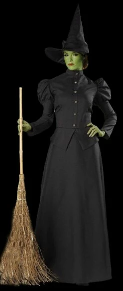 "Classic Witch" Deluxe Costume
