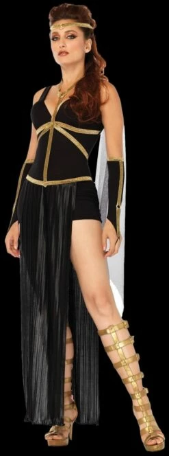 "Divine Dark Goddess" Costume (Adult Size)
