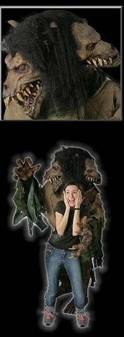 "Double Trouble" HD Studios Costume -DarkMorph Store double trouble hd studios night terror halloween costume 2092816236577