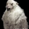 "Evil Goat Man" HD Studios Pro Costume -DarkMorph Store evil goat man hd studios pro halloween costume 7320419401776