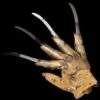"Freddy Krueger Collector's Glove" Halloween Costume Accessory -DarkMorph Store freddy krueger collector s glove halloween costume accessory 11520913997872