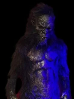 Cheap Halloween Store 6 "Harry The Primate" Costume