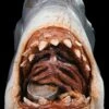 "Jaws - Bruce The Shark" Mask 1 "Jaws - Bruce The Shark" Mask -DarkMorph Store jaws bruce the shark movie halloween mask 14144900661296