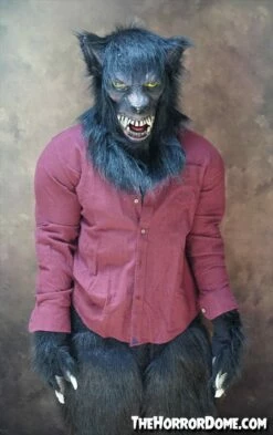 "Lycanthrope" HD Comfort Werewolf Costume -DarkMorph Store lycanthrope hd studios comfort fit halloween costume 15348679278640