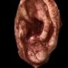 "Severed Ear" Halloween Prop -DarkMorph Store severed ear halloween prop 14528013893680