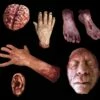 "Silicone Body Parts" Gory Halloween Props- Package Deal -DarkMorph Store silicone body parts gory halloween props package deal 28745784852528