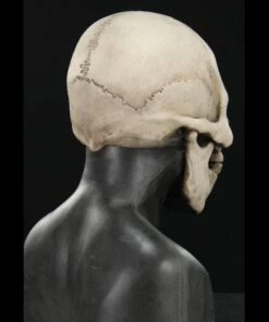 "Skull Hood" Silicone Mask -DarkMorph Store skull hood silicone halloween mask 20360422977