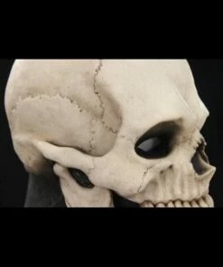 "Skull Hood" Silicone Mask -DarkMorph Store skull hood silicone halloween mask 20360423169