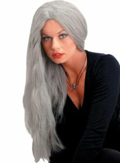"Straight Grey Witch" Halloween Wig - 24"