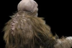 "The Hobgoblin" HD Studios Pro Costume -DarkMorph Store the hobgoblin hd studios pro halloween costume 8721737217