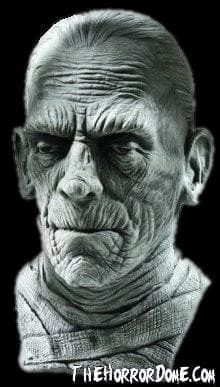 "Universal Studios Mummy" Mask