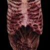 "Walking Dead - Walker Latex Chest" Zombie Costume Accessory -DarkMorph Store walking dead walker latex chest zombie costume accessory 14231502618672