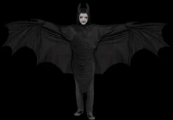 "Wicked Wing Bat" Costume (Adult)