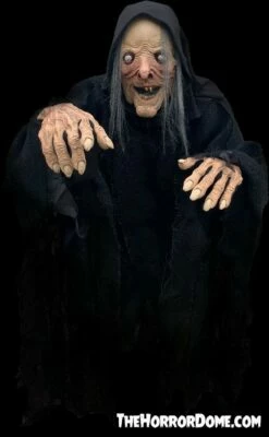 "Wicked Witch" HD Comfort Costume