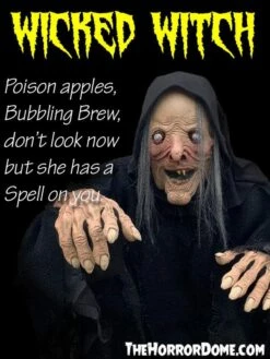 "Wicked Witch" HD Comfort Costume -DarkMorph Store wicked witch hd studios comfort fit halloween costume 14335789858864