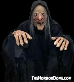 "Wicked Witch" HD Comfort Costume -DarkMorph Store wicked witch hd studios comfort fit halloween costume 14335880822832