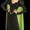 "Wicked Witch Of The West" Costume (Adult) -DarkMorph Store wicked witch of the west women s halloween costume adult 28426752950320