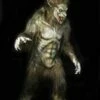 "Wolf Man" Professional Costume -DarkMorph Store wolf man professional halloween costume 14480197287984