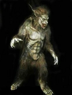 "Wolf Man" Professional Costume