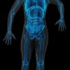 "X-Ray Skin Suit" Costume 2 "X-Ray Skin Suit" Costume -DarkMorph Store x ray skin suit value halloween costume 28751518466096