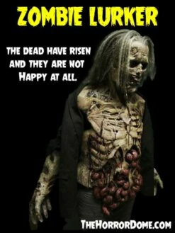 "Zombie Lurker" HD Studios Pro Costume -DarkMorph Store zombie lurker hd studios pro halloween costume 28754332680240